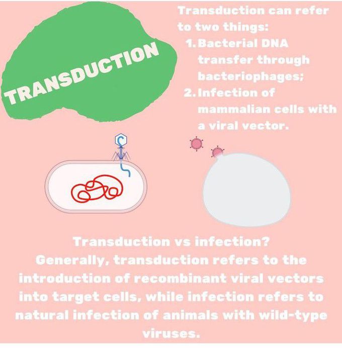 Transduction