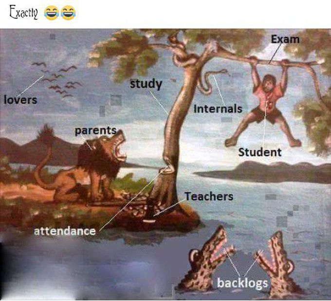Schools