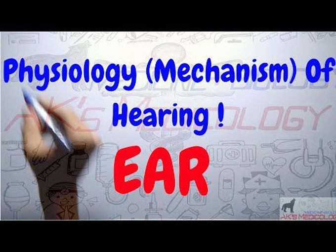 Special senses:
The Physiology of hearing