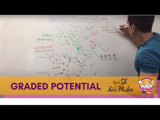 Graded Potential