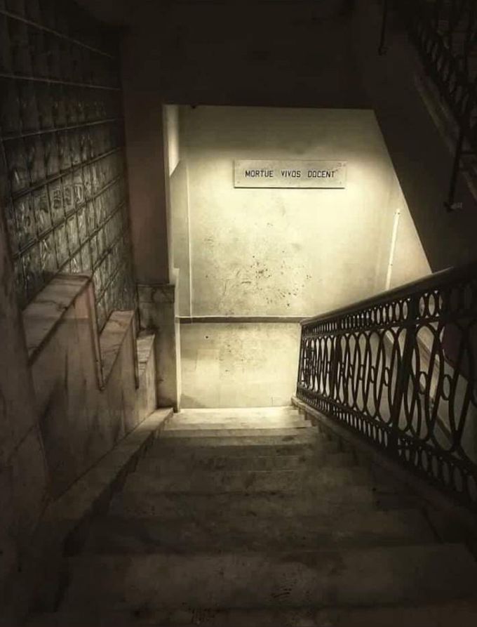 The morgue