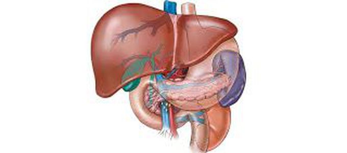 7 Foods That Damage The Liver Which bad for Your Health– A Must Read For All