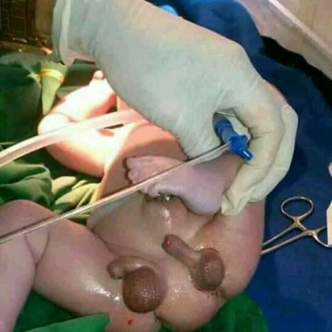What do you call this..?