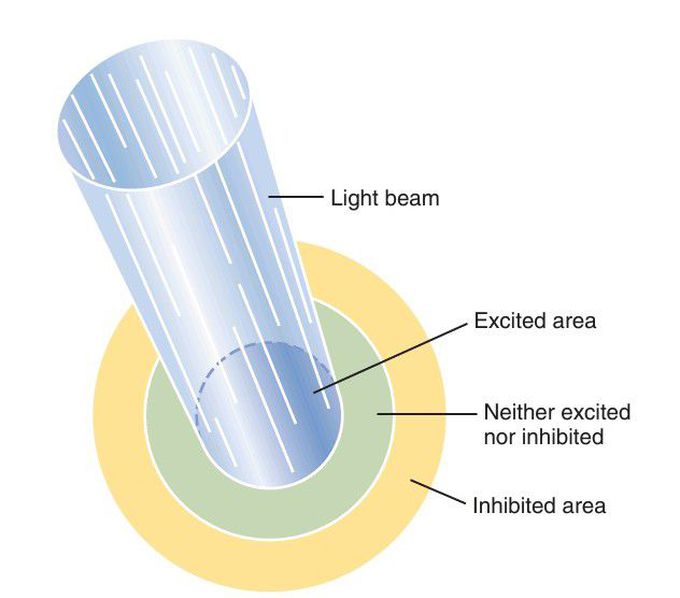 Lateral inhibition