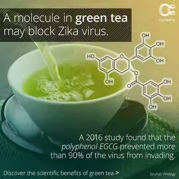 Green tea