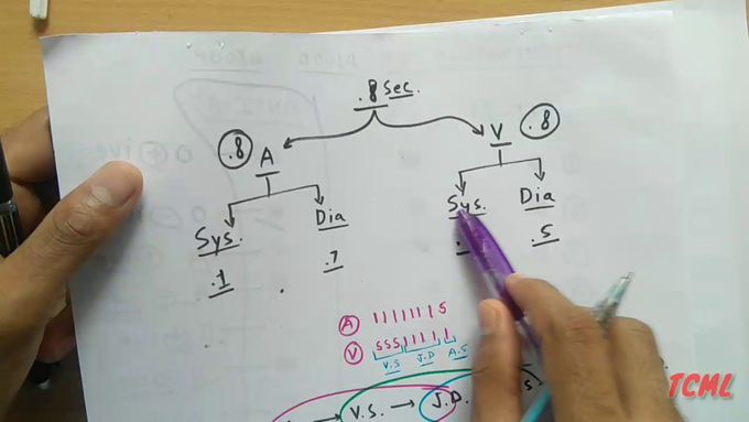 Cardiac cycle physiology