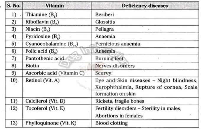 Vitamins and function