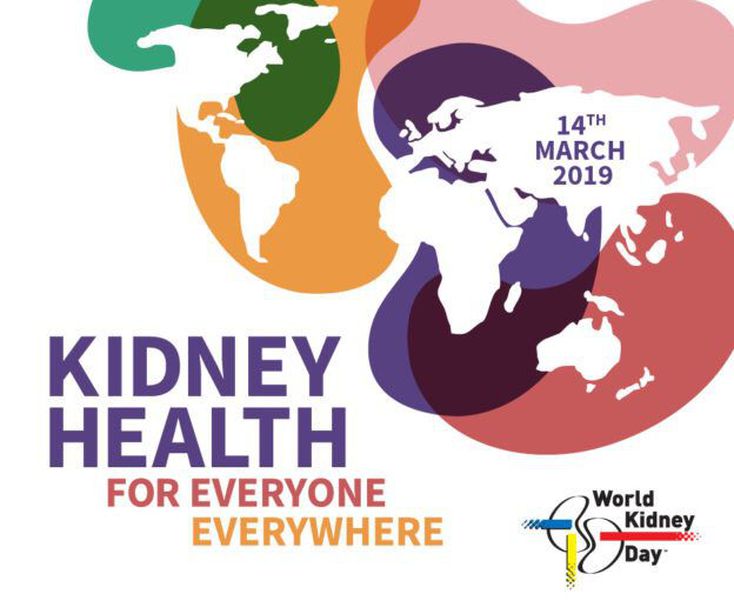 MEDizzy World Kidney Day