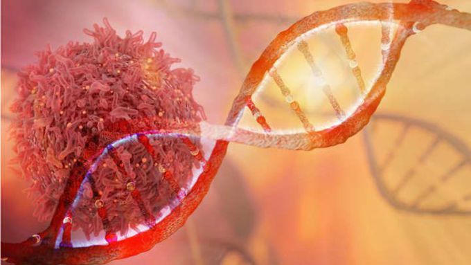 A Cancer Patient Is In Remission Thanks To One Genetically Engineered Immune Cell