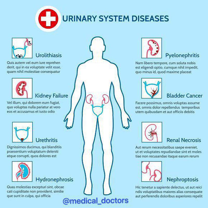 Urinary - MEDizzy