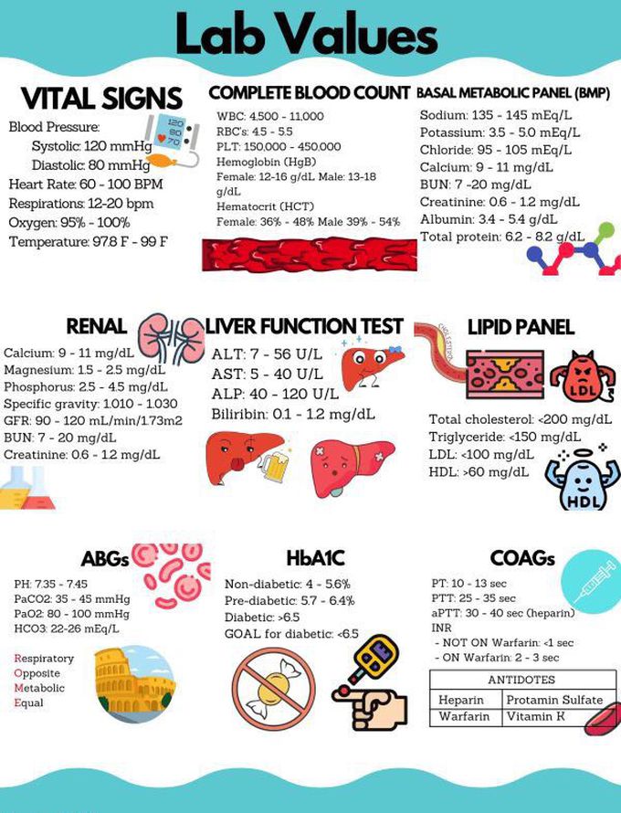 Lab values