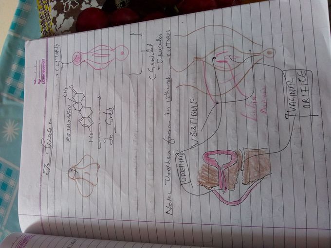 Post Number 1236537 MEDizzy