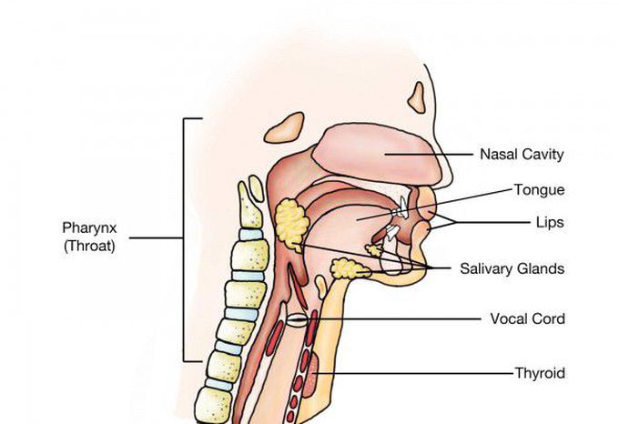 Neck cancer