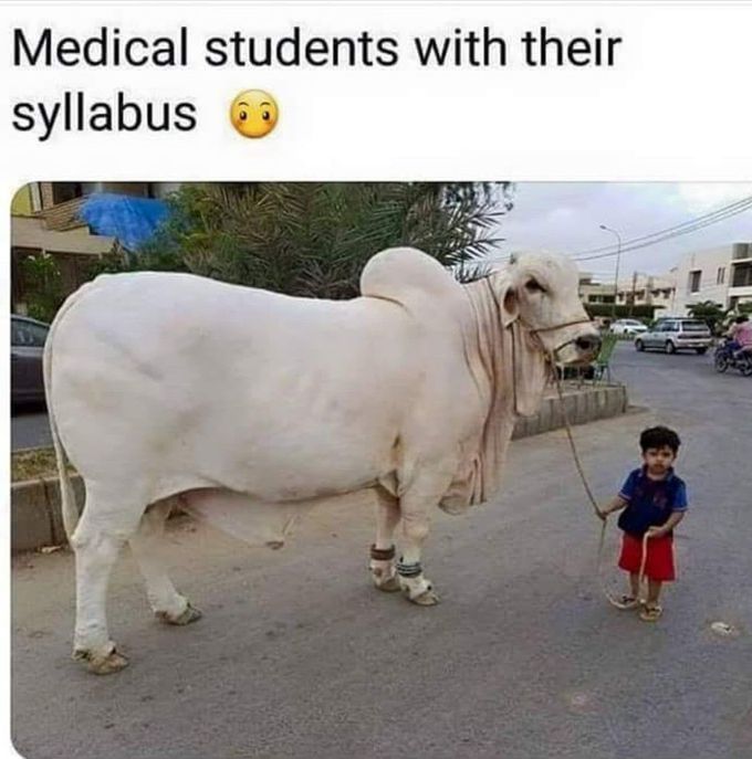 Ryttt😂