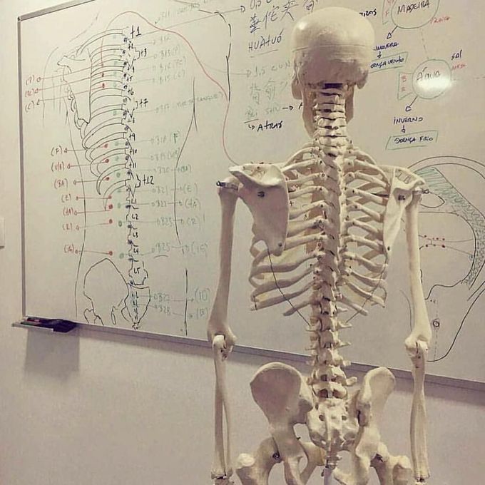 Medlife