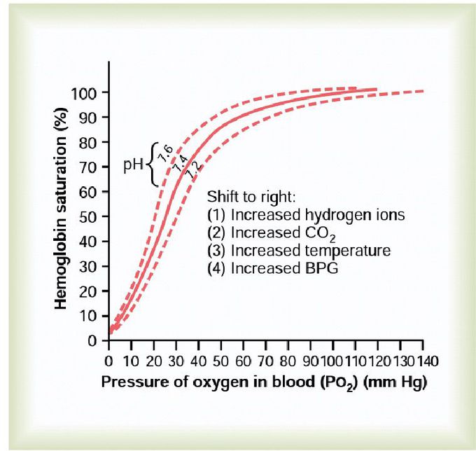 The Oxygen Hemoglobin Dissociation Curve