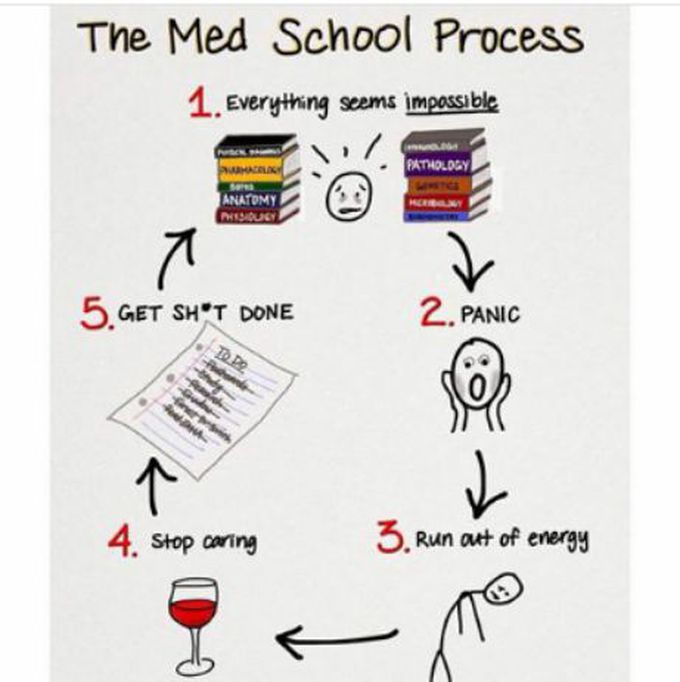 Med school 🚸 process