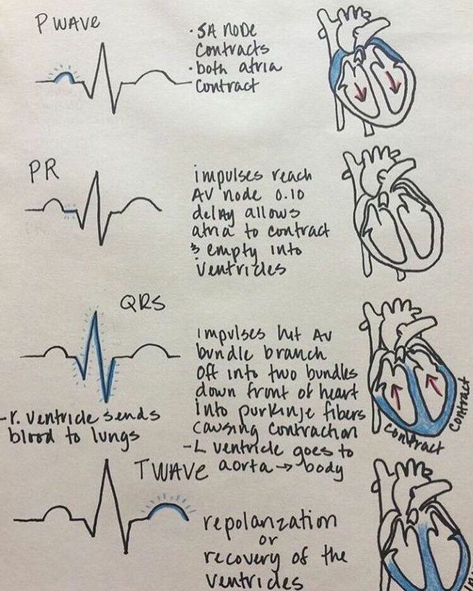 Love this explanation :)!❤️
