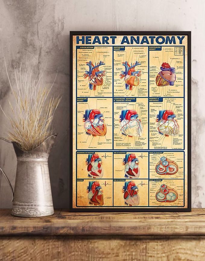 Anatomy of heart ❤️