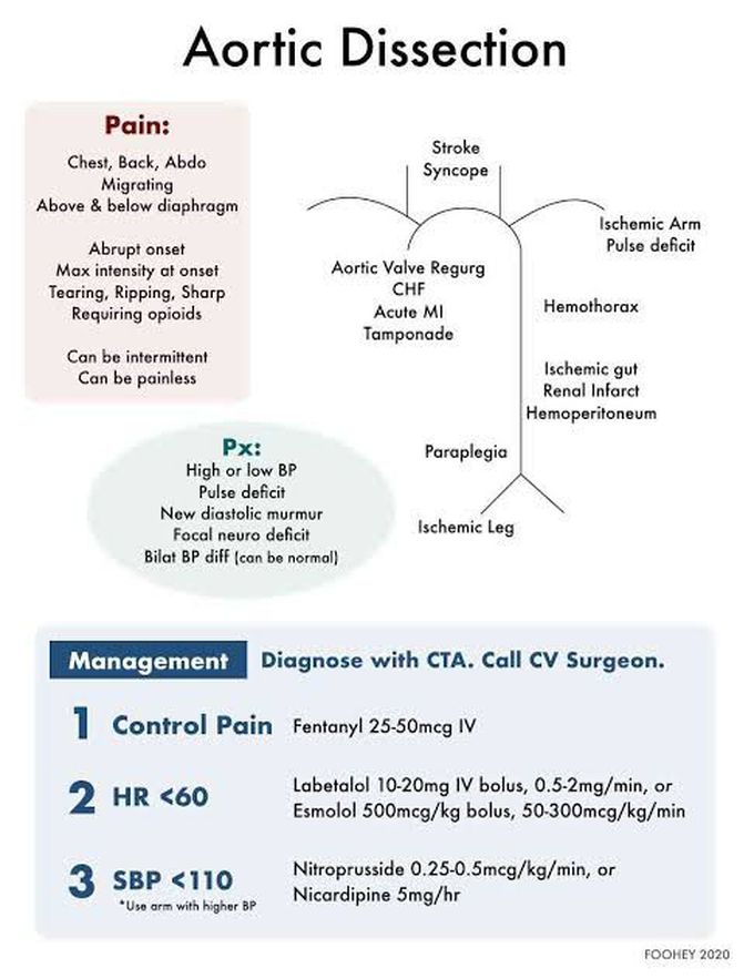 Aortic dissection management