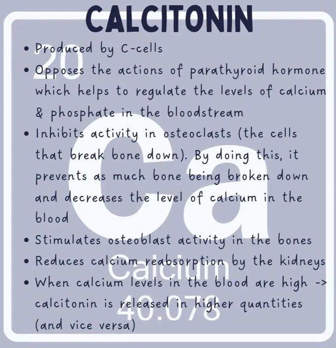 Calcitonin