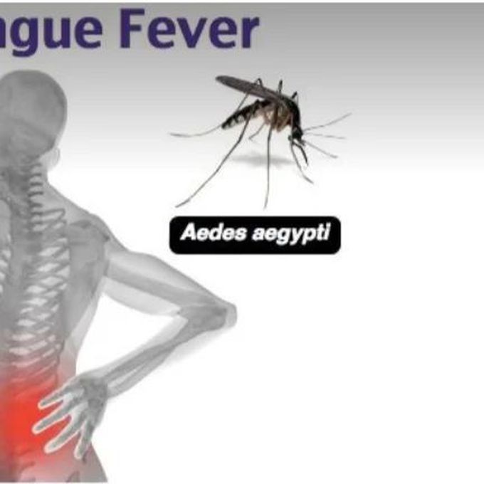 Fever