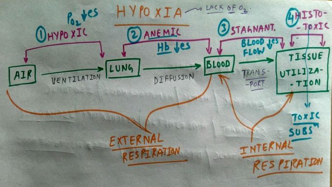 Hypoxia ( Amazing Concept )