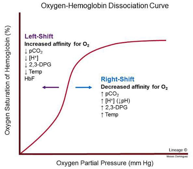 Oxygen-Hemoglobin-dissociation curve