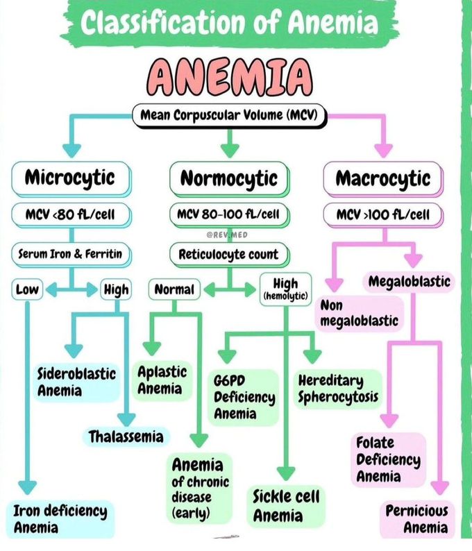 Classification of Anemia