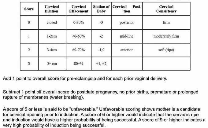 Modified BISHOP Score on Induction Of Labour