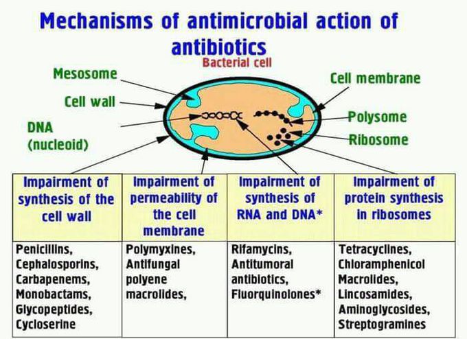 Pharmacology luv💚💚