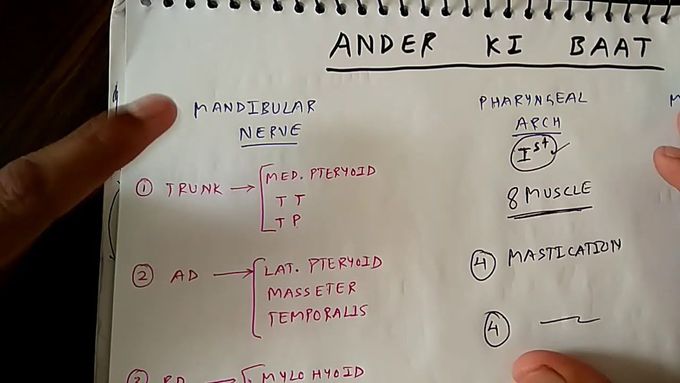 ANDER KI BAAT ( Mandibular nerve , Pharyngeal arch , Maxillary artery )