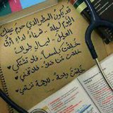 Nouraldeen Elabid