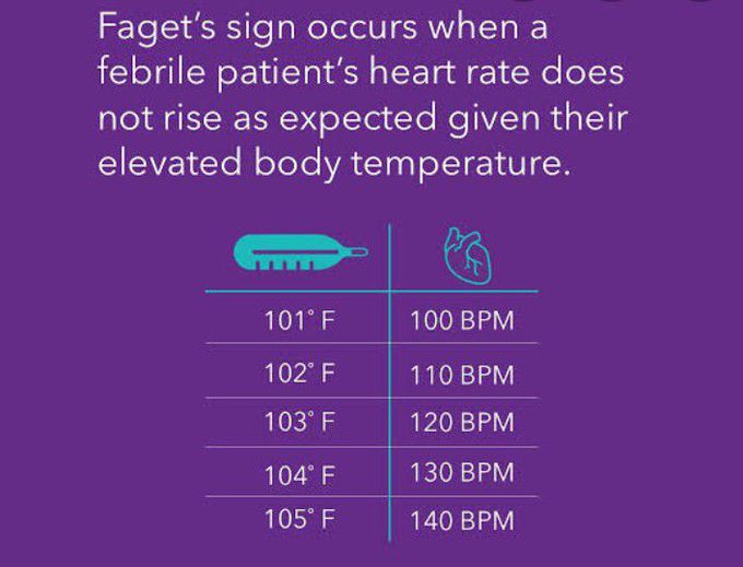 Faget sign- fever with bradycardia( fever is usually accompanied with tachycardia)