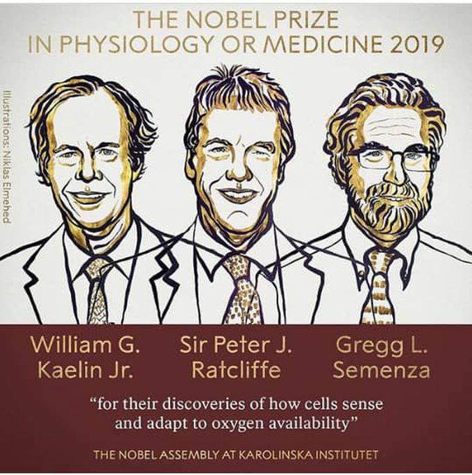 Nobal prize for medicine and physiology 2019