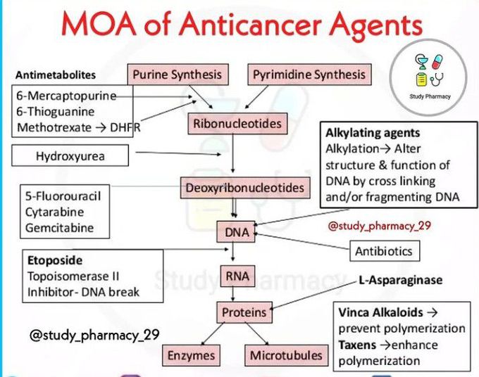 Mechanism of action of Anticancer drugs