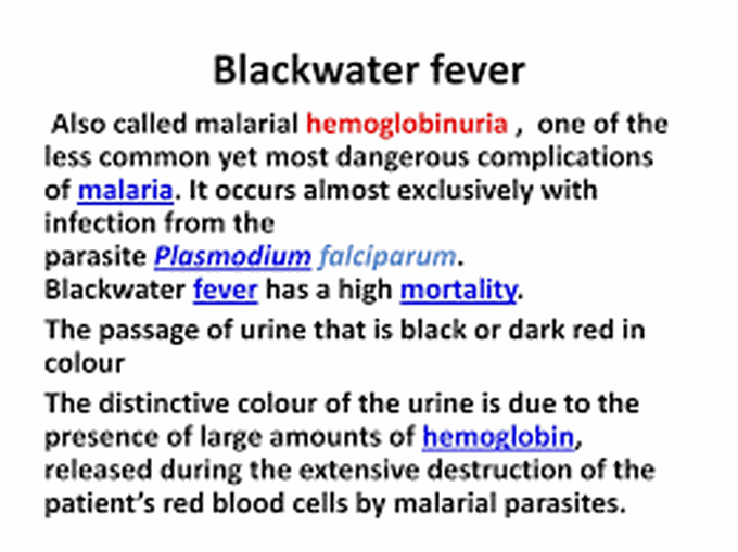 black water fever