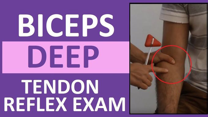 Biceps Deep Tendon Reflex