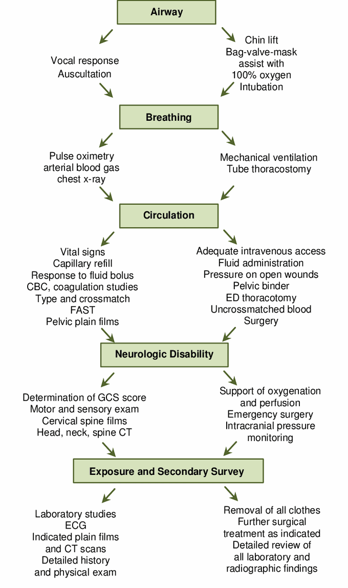 Simplified assessment and management of trauma patients