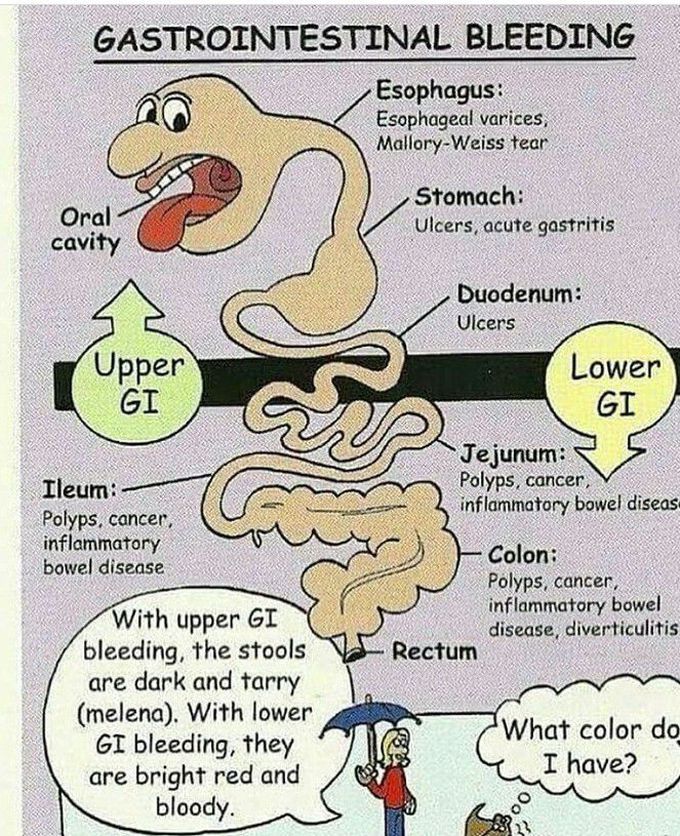 Gastrointestinal bleeding