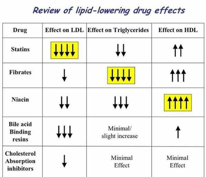 Lipid lowering Agents
