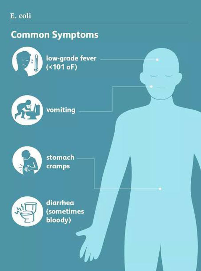 Symptoms of ecoli - MEDizzy