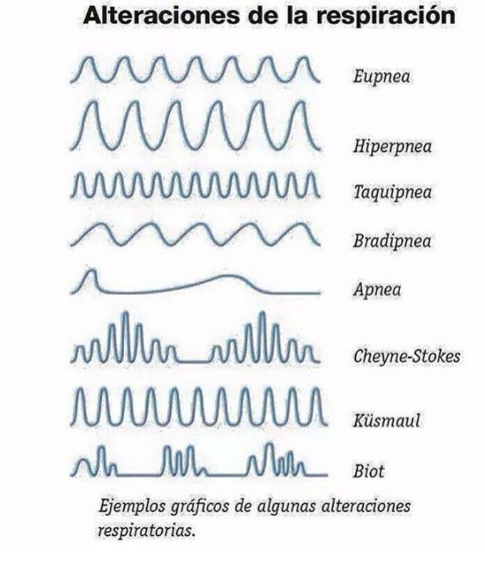 Respiracion