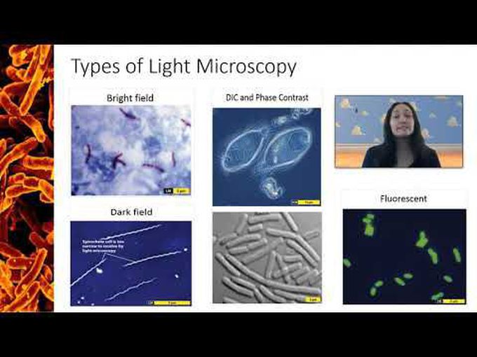 Types of light microscopes