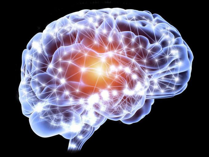 What does autism look like in the brain?