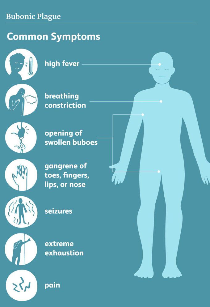 Symptoms of Bubonic plague - MEDizzy