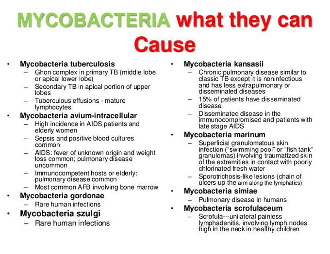 Image: Atypical mycobacterium