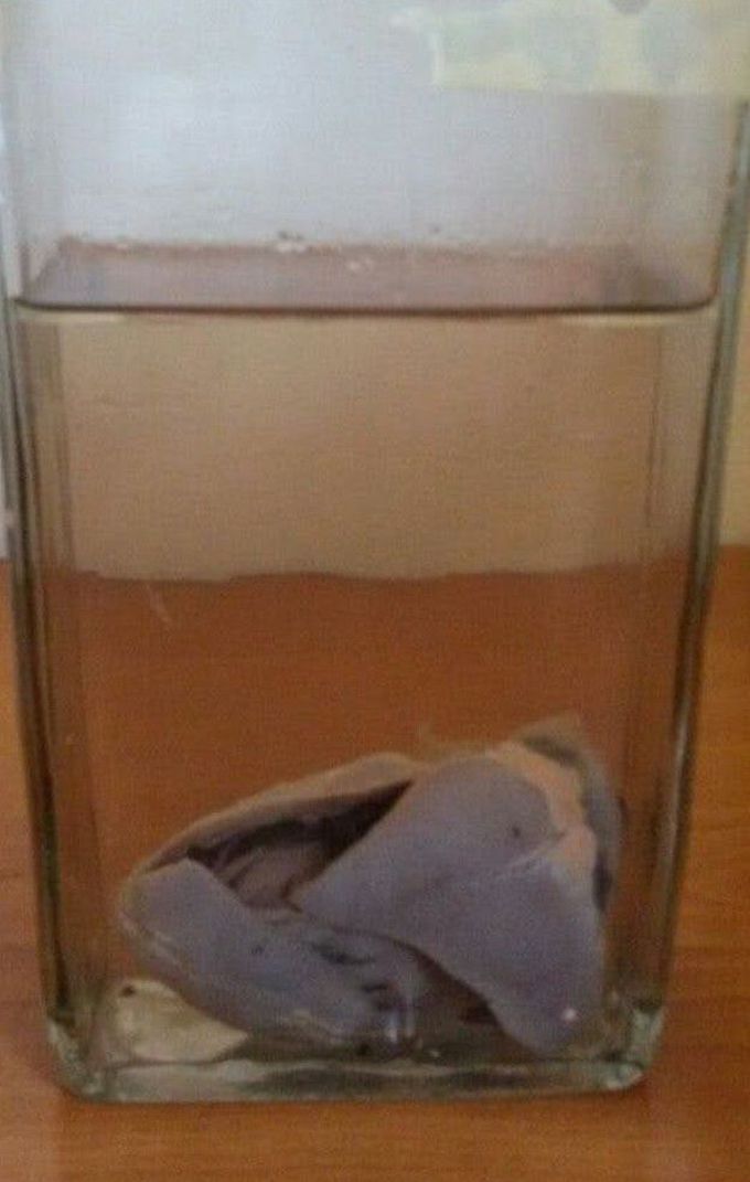 Heart Broken