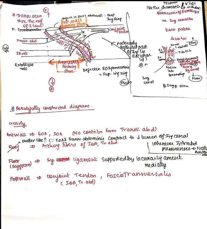 Inguinal Canal anatomy made simple.