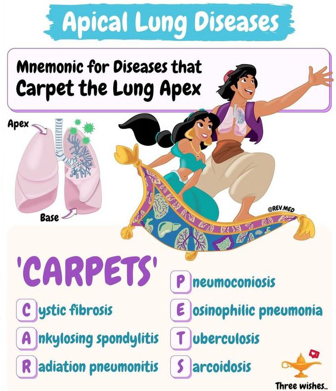 Apical Lung Diseases